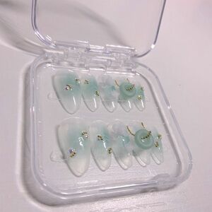 B251 Press-On Nails
